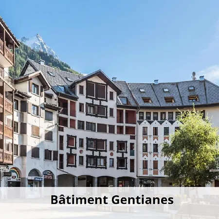 L'aiguille - Maeva - 2 Pieces 5 Personnes Confort Mae-2139 Daire